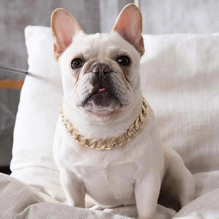 Gold Chain Dog Necklace | Pet Chain Collar