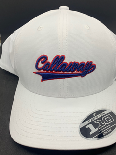 Tempo Mens Golf Hat