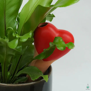 Plant Watering Spikes - Heart (4 Pack)