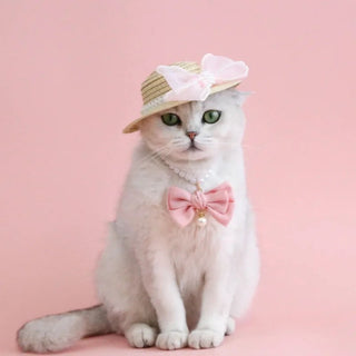 Babygirl Bow Dog Necklace | Pearl Bow Pet Collar