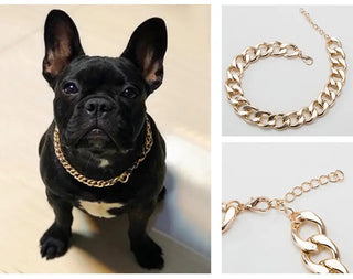 Gold Chain Dog Necklace | Pet Chain Collar